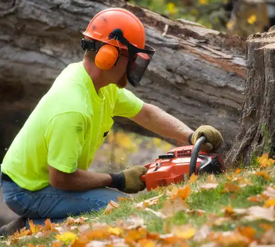 tree services Ross